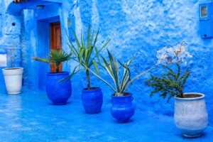 Sahara Desert tour from Casablanca to Chefchaouen