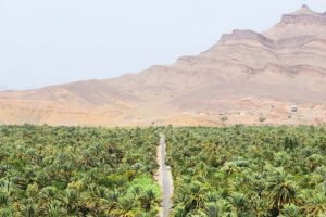 Tour from Tangier to Chefchaouen and the Sahara Desert