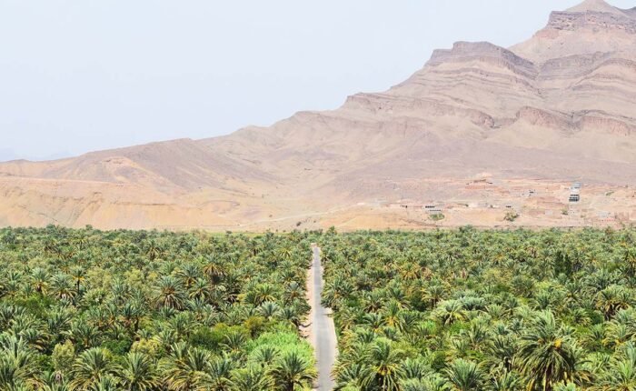 Tour from Tangier to Chefchaouen and the Sahara Desert