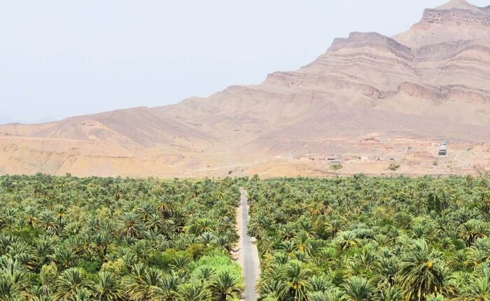 Tour from Tangier to Chefchaouen and the Sahara Desert